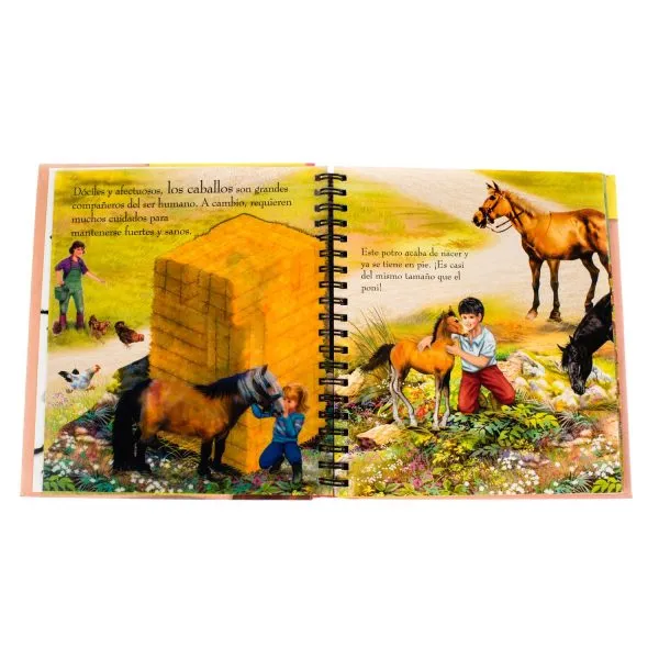 Caballos y Ponis - Imagen 3
